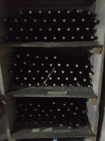 Bed and Breakfast Book Wine Tasting In Tbilisi Zewnętrze zdjęcie