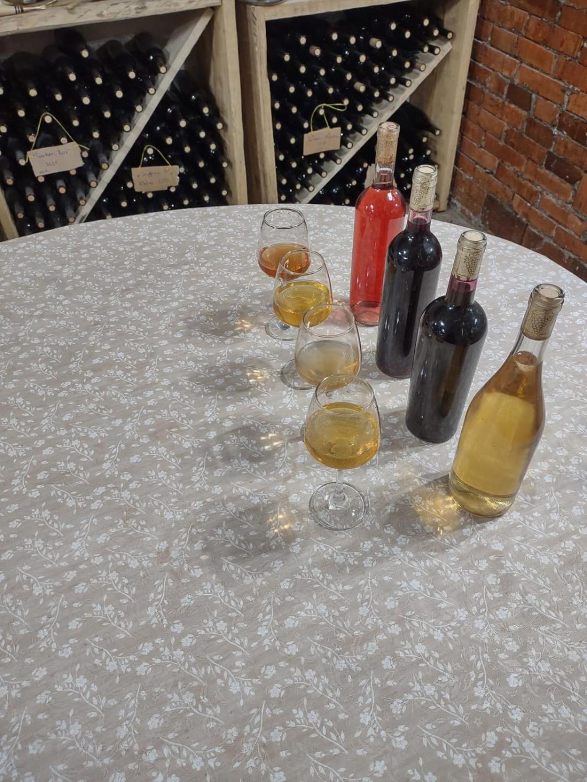 Bed and Breakfast Book Wine Tasting In Tbilisi Zewnętrze zdjęcie