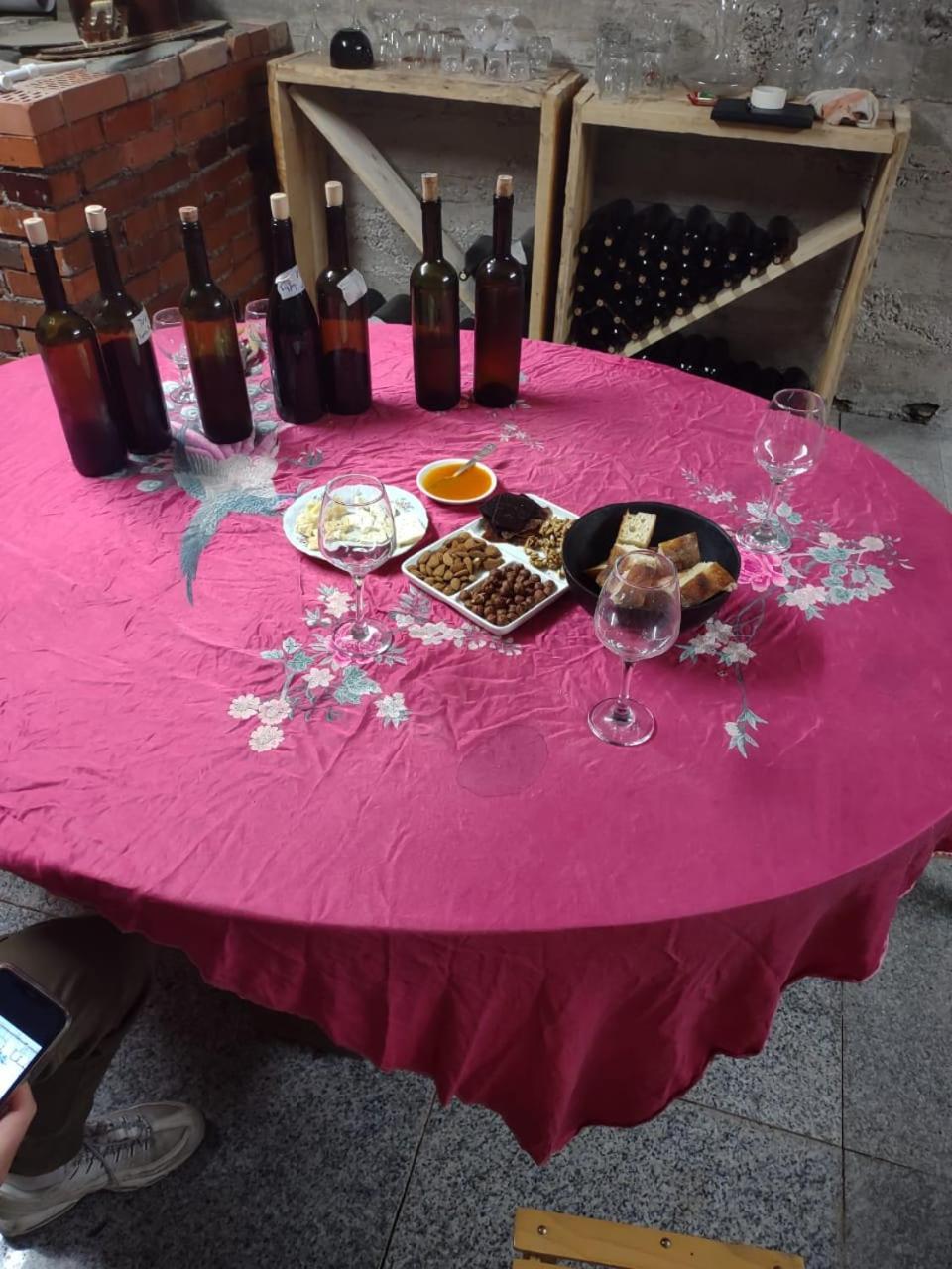Bed and Breakfast Book Wine Tasting In Tbilisi Zewnętrze zdjęcie